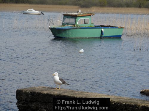 Lough Gill